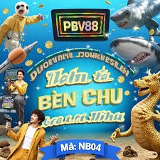 qq303bet